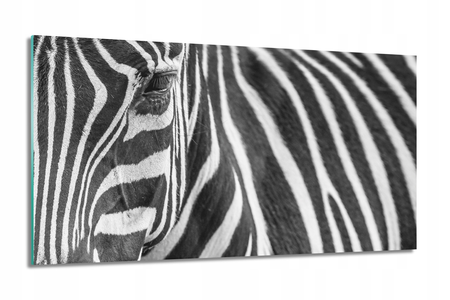 Zebra pruhy oko Foto na skle foto-obraz 100x60