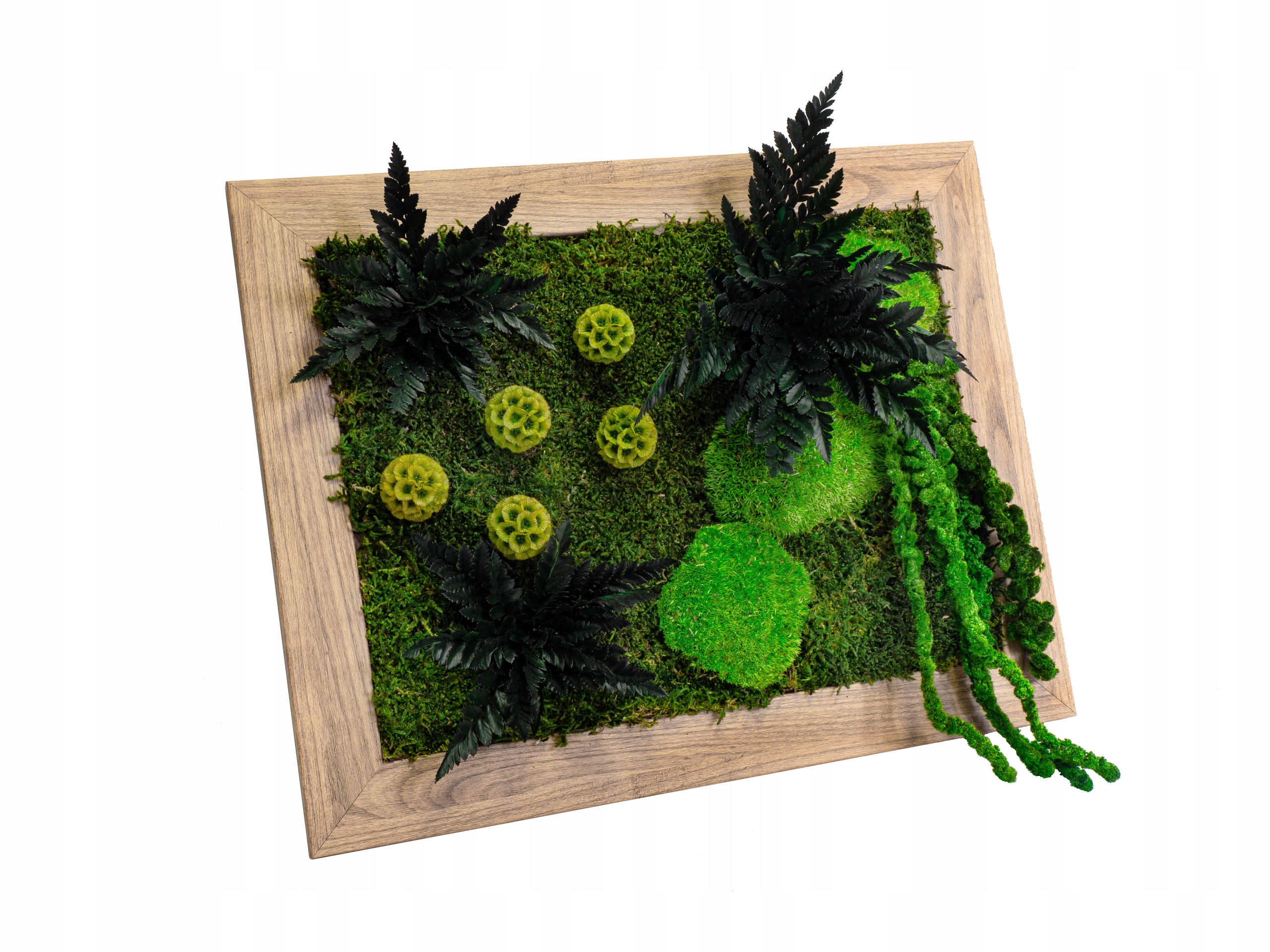 Obraz Z Mechu Chrobotka 48x40cm Jako dárek Výročí Ale Mech!