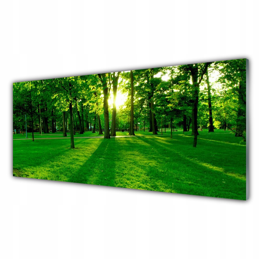 

Obraz z grafiką na ścianę 125x50 Las Park Natura