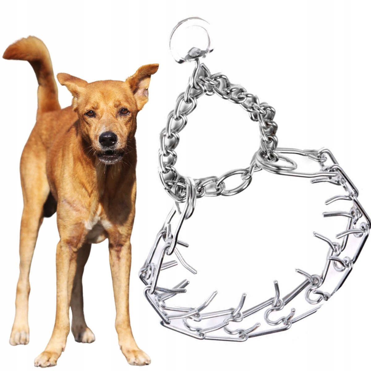 

Kolczatka półzaciskowa dla psa obroża treningowa S