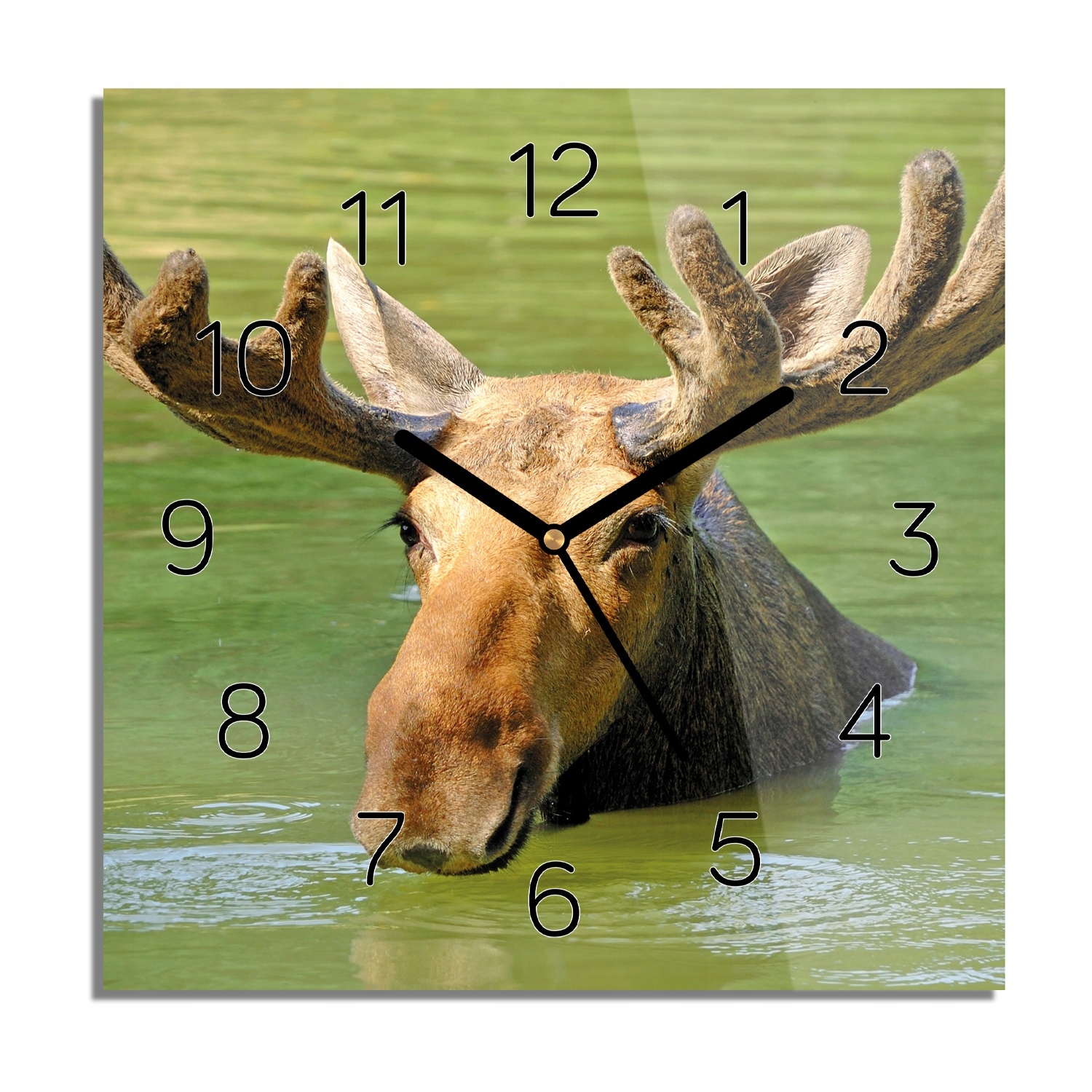 

Łoś woda jezioro zegar szklany z foto 30x30 cichy