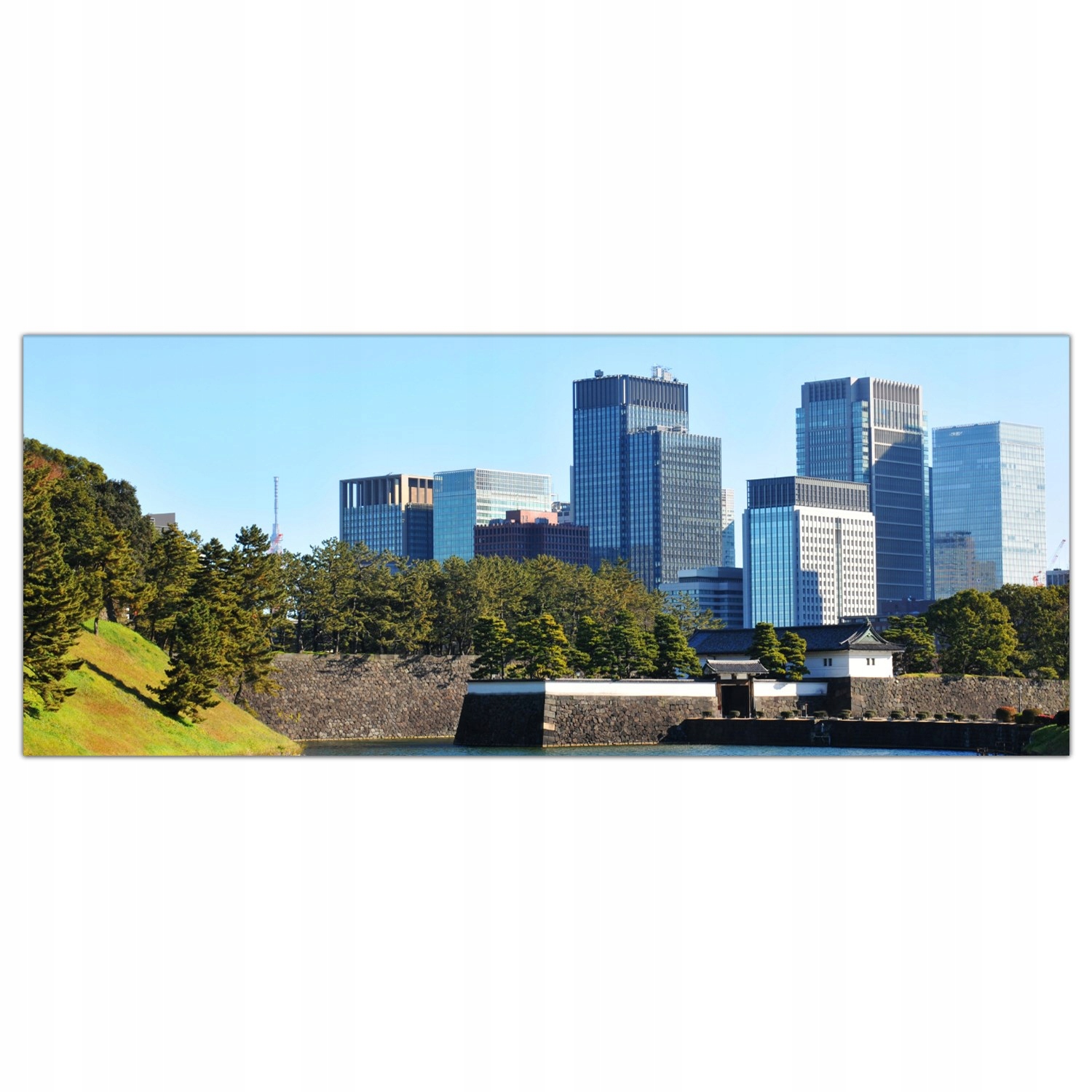 

Obraz na szkle Foto Tokio Japonia Miasto 125x50