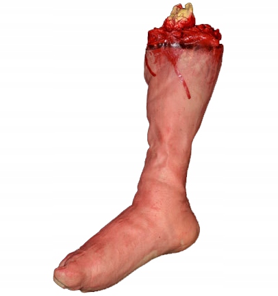 

Sztuczna Odcięta Noga Kość Stopa Halloween Łydka