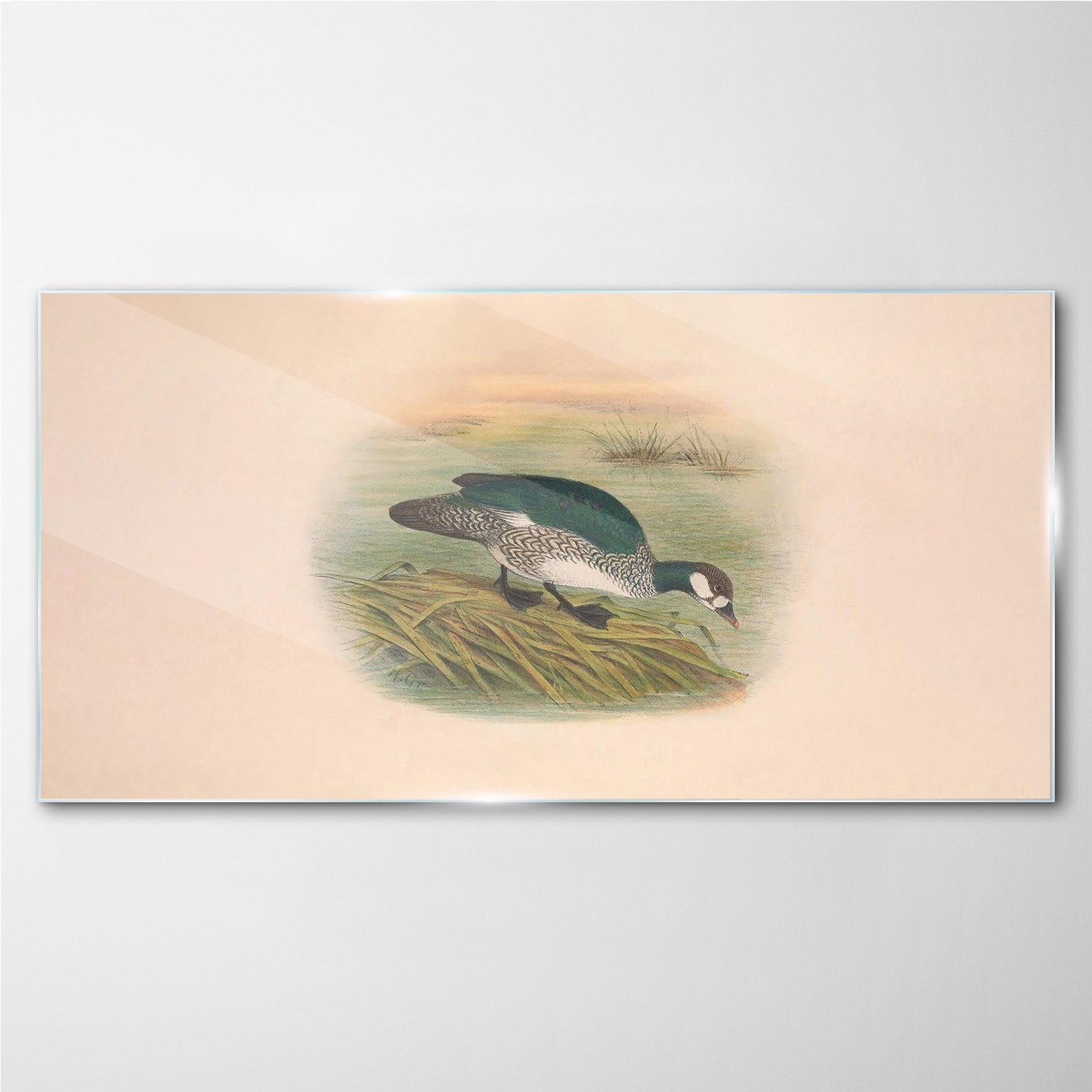

Obraz na ścianę szklany Ptak rysunek 120x60 cm