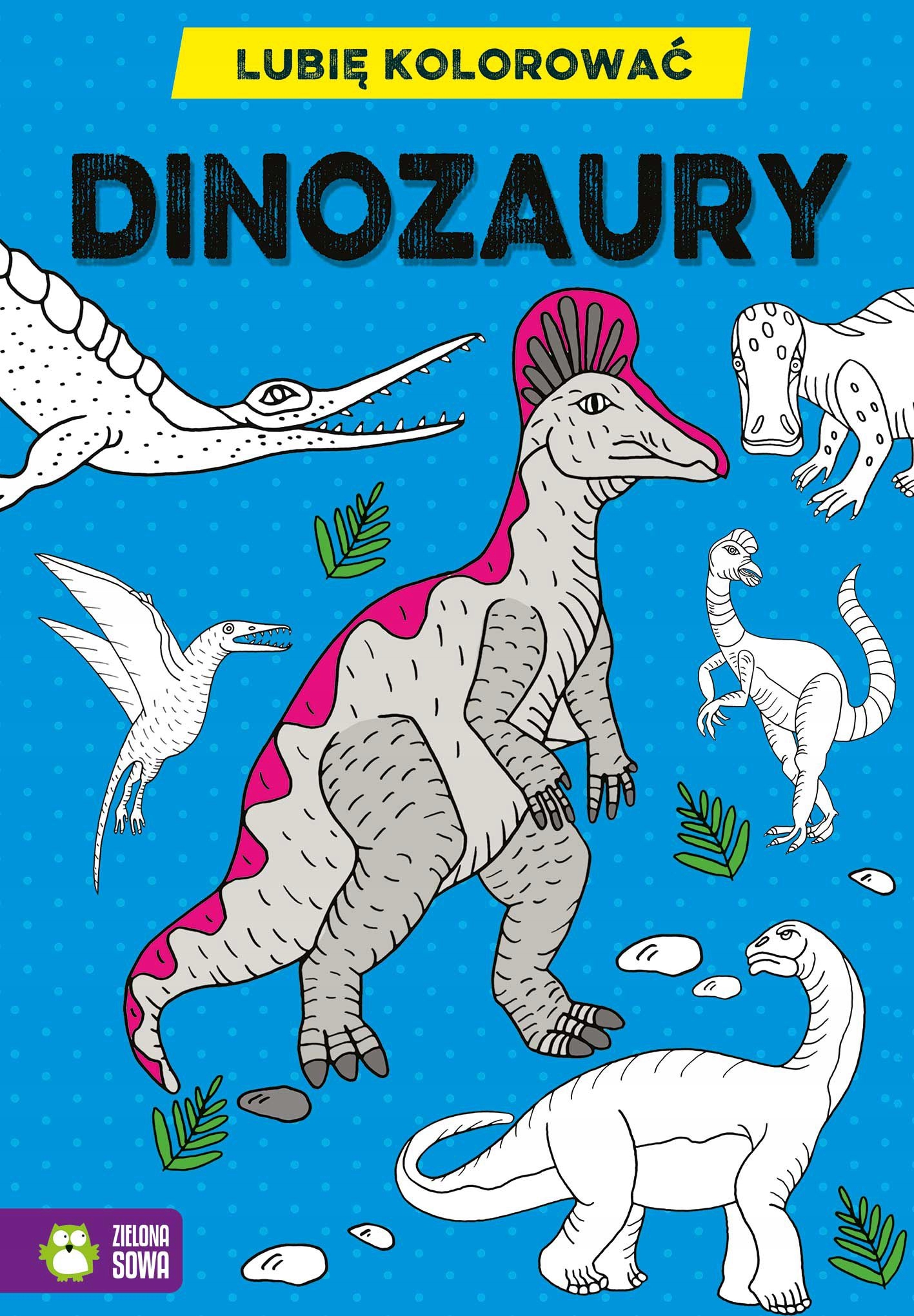 

Lubię kolorować. Dinozaury Zielona Sowa