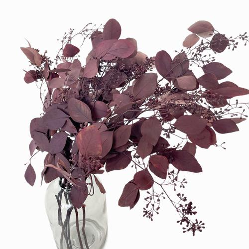 

Stabilizowany eukaliptus czerwony, suszone liście