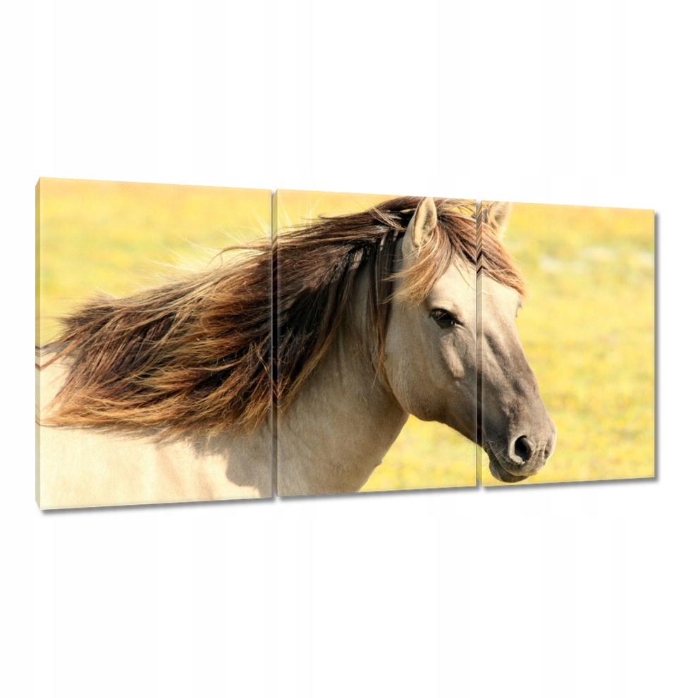 

Obrazy 120x60 Łeb konia