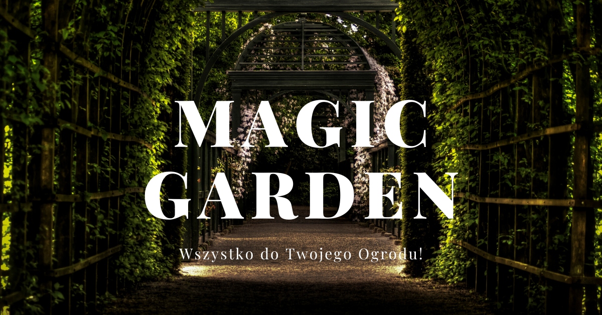 AERATOR WERTYKULATOR DO NAPOWIETRANIA TRAWY WALEC Zasilanie ręczne