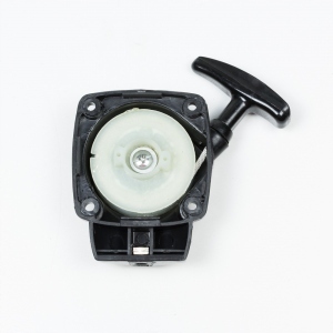 ORYGINALNY ROZRUSZNIK KOSY SPALINOWEJ CG260B BP254-10-V WLBC260-2ZXU NAC