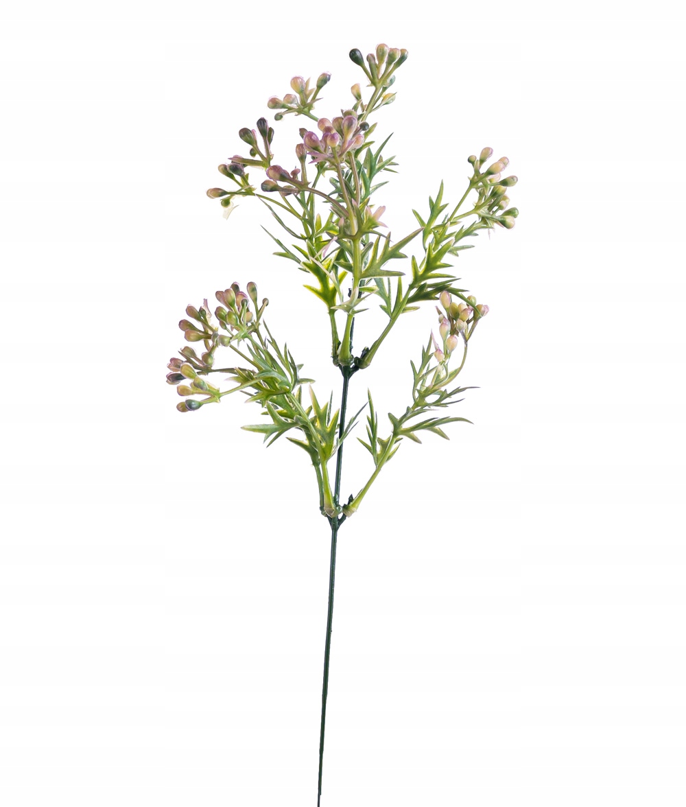 

Gałązka fioletowo kremowa pik do wiązanek bukietów