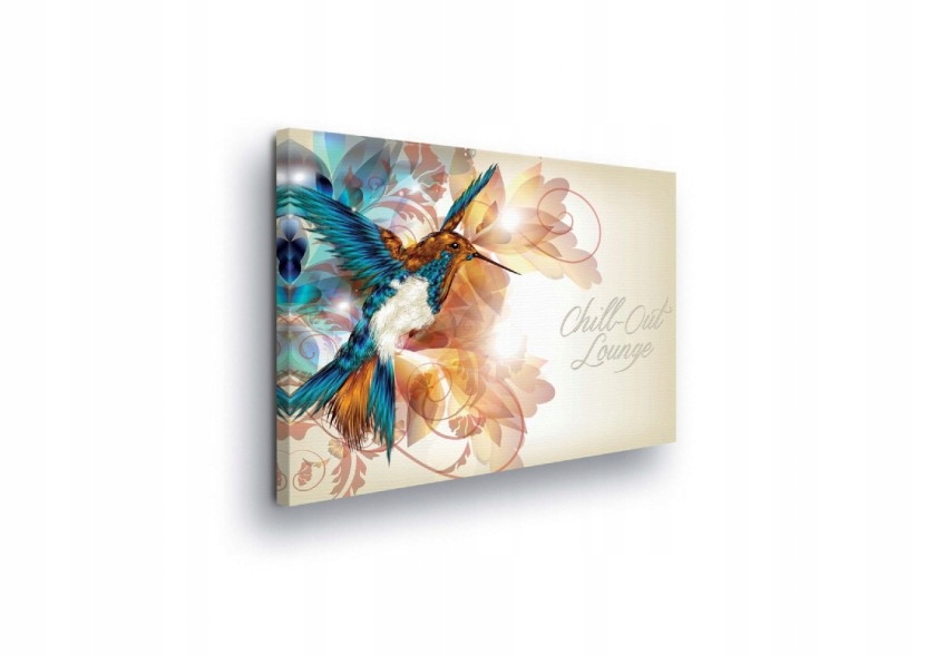 Obraz 100x75 Kolibřík pták let tropy jasné barvy dynamika lehkost