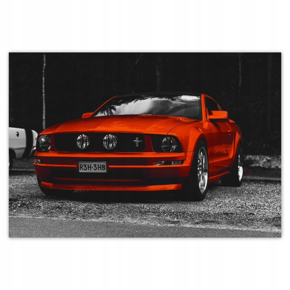 

Fototapety flizelina 104x70 Czerwony Ford Mustang
