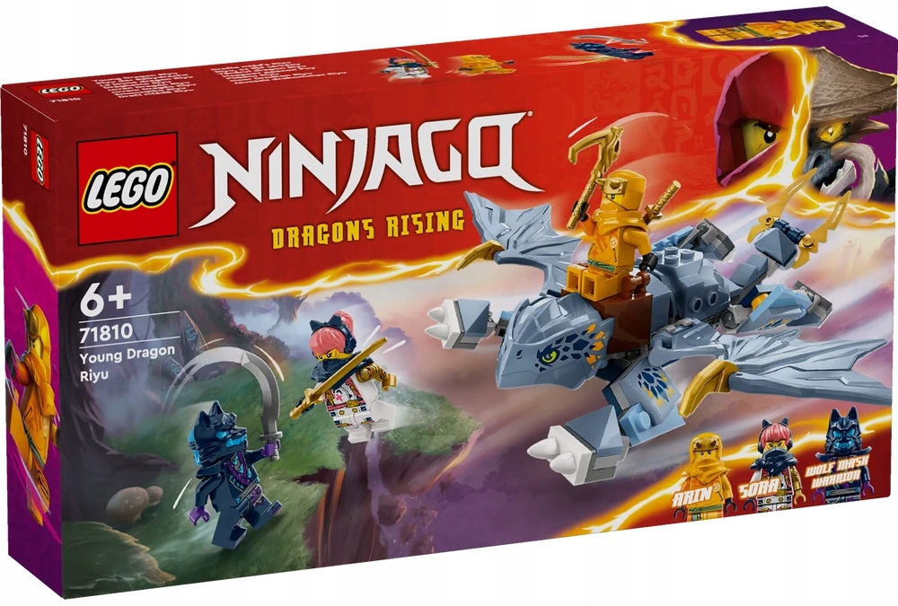 Lego Ninjago Dračí Riyu Sada Kostek 71810