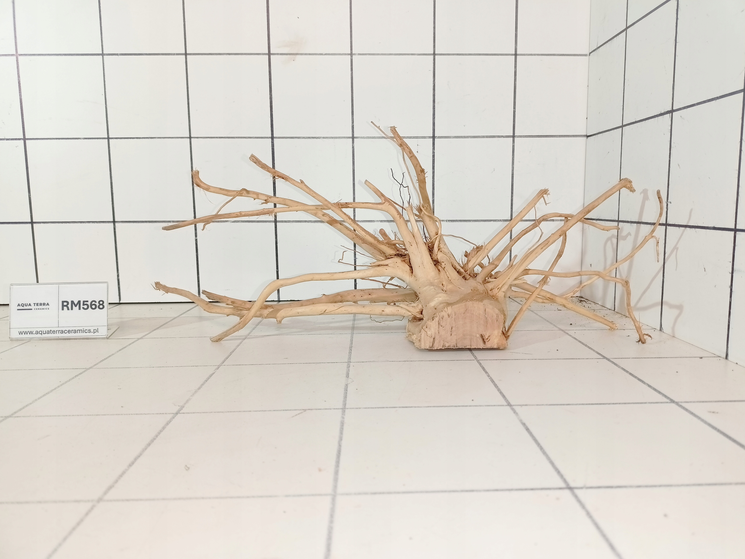 Korzeń Japoński Do Akwarium Terrarium Red Moor RM568 (to co na zdjęciu)