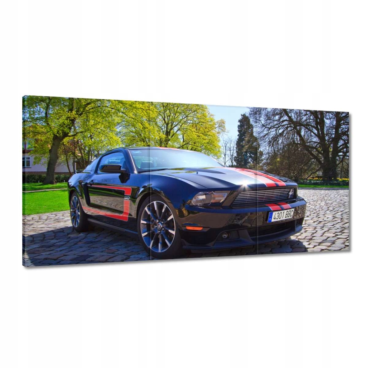 Obrazy 120x60 Ford Mustang s pruhy