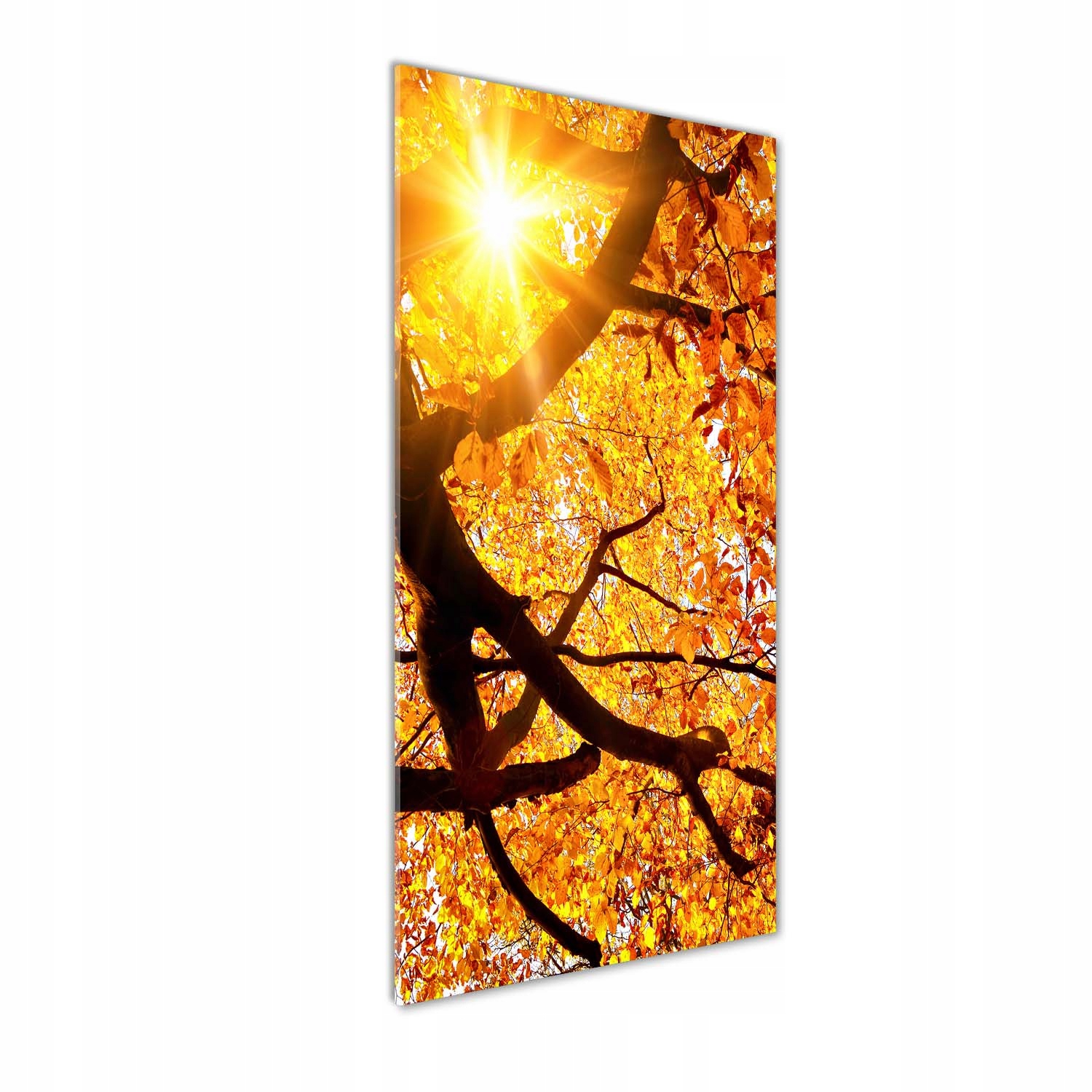 

Foto obraz szkło akrylowe Jesienne drzewo 50x125cm