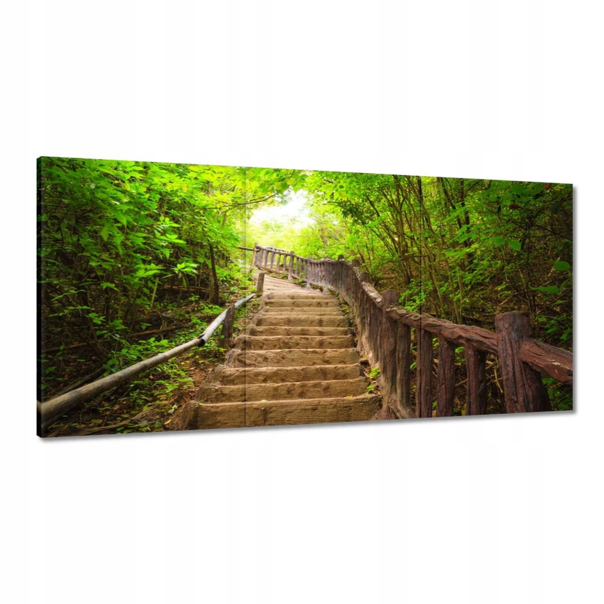Obrazy 180x90 Schody do lesa