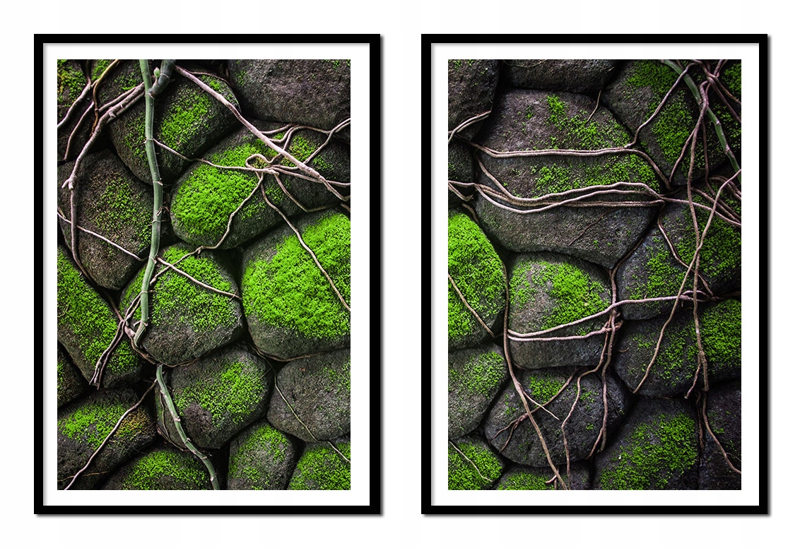 Obraz Plakáty V Rámu 53x73 cm Diptych Sada 2 obrazů Kameny Mech P2143