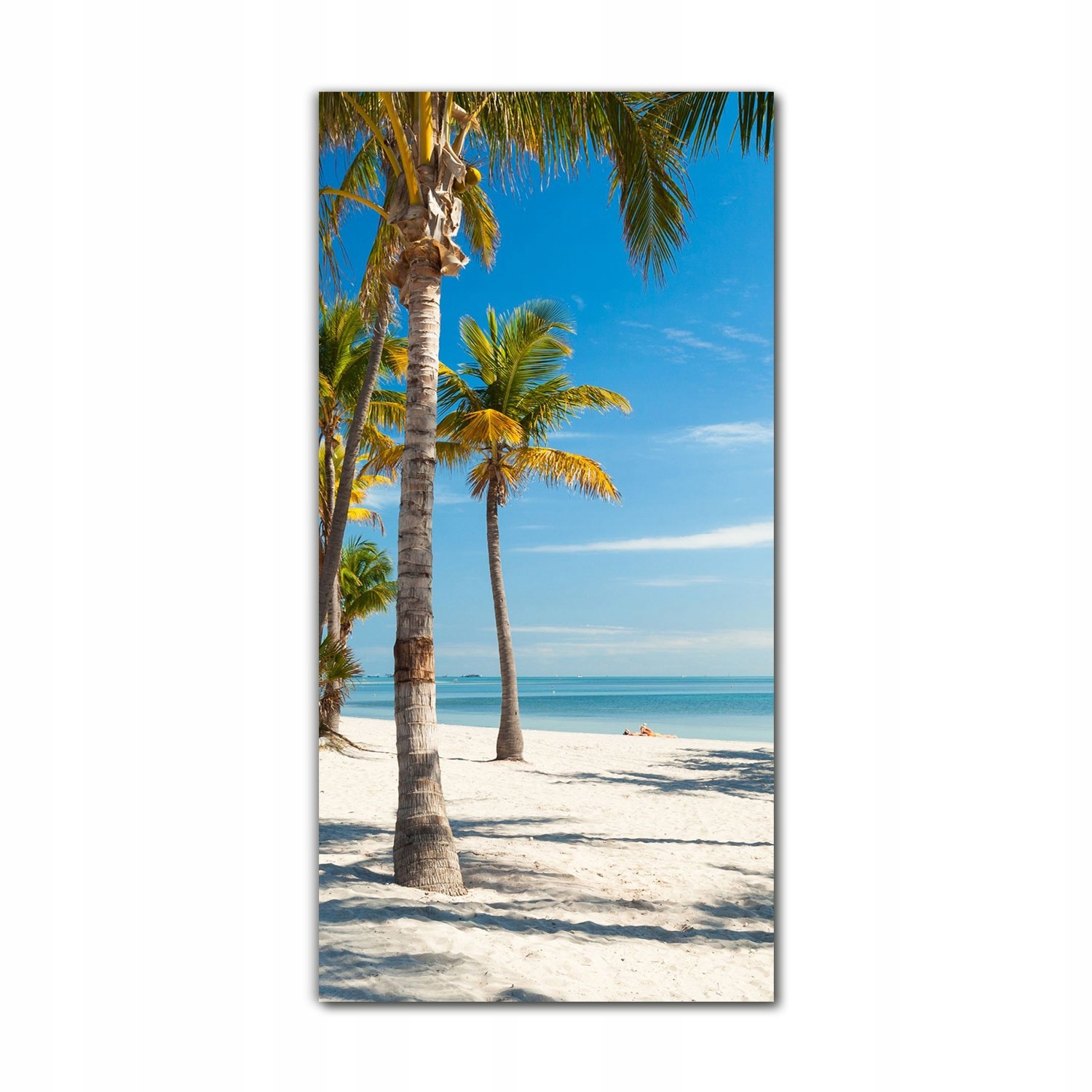 

Foto na szkle do salonu 70x140 Palmy plaża niebo