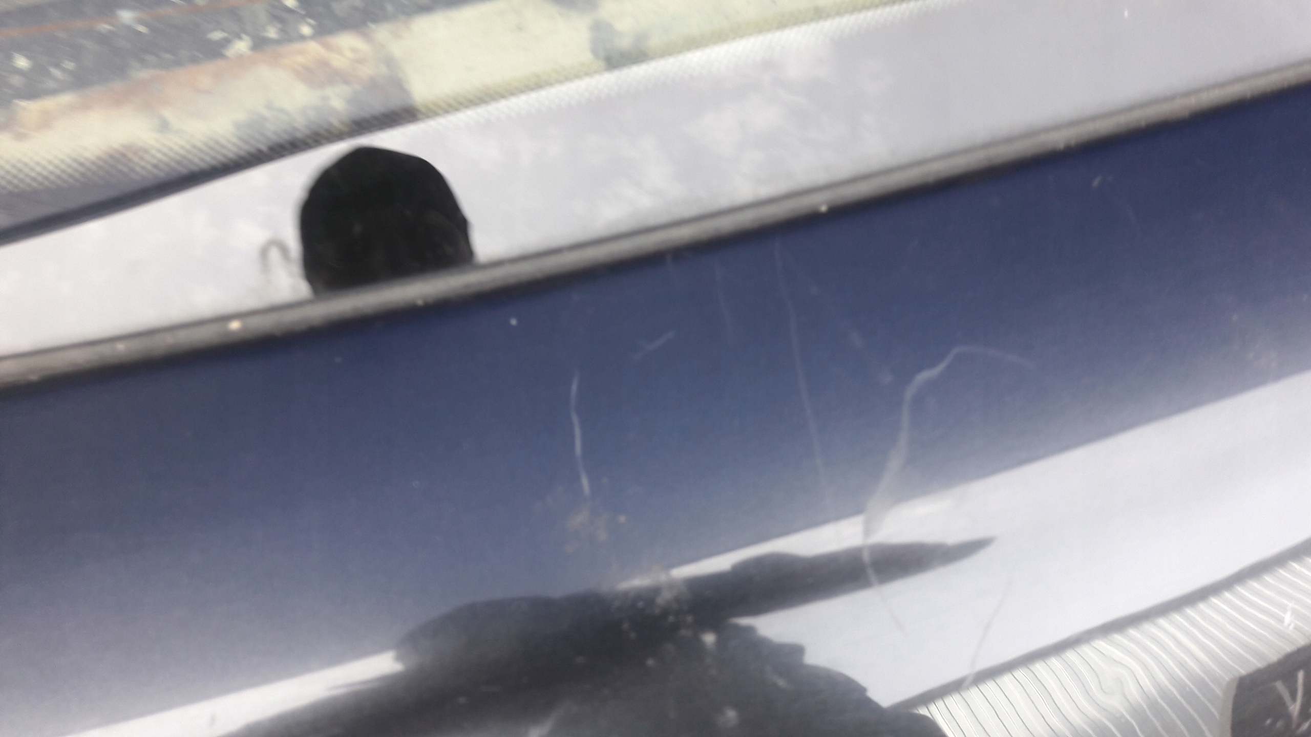AUDI A3 8L kapota kufru OKNO SPOILER