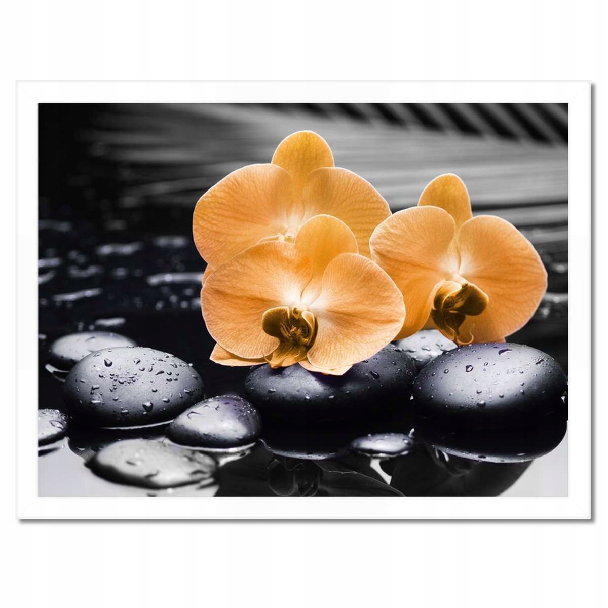 Plakáty v rámu 40x30 Oranžové orchideje
