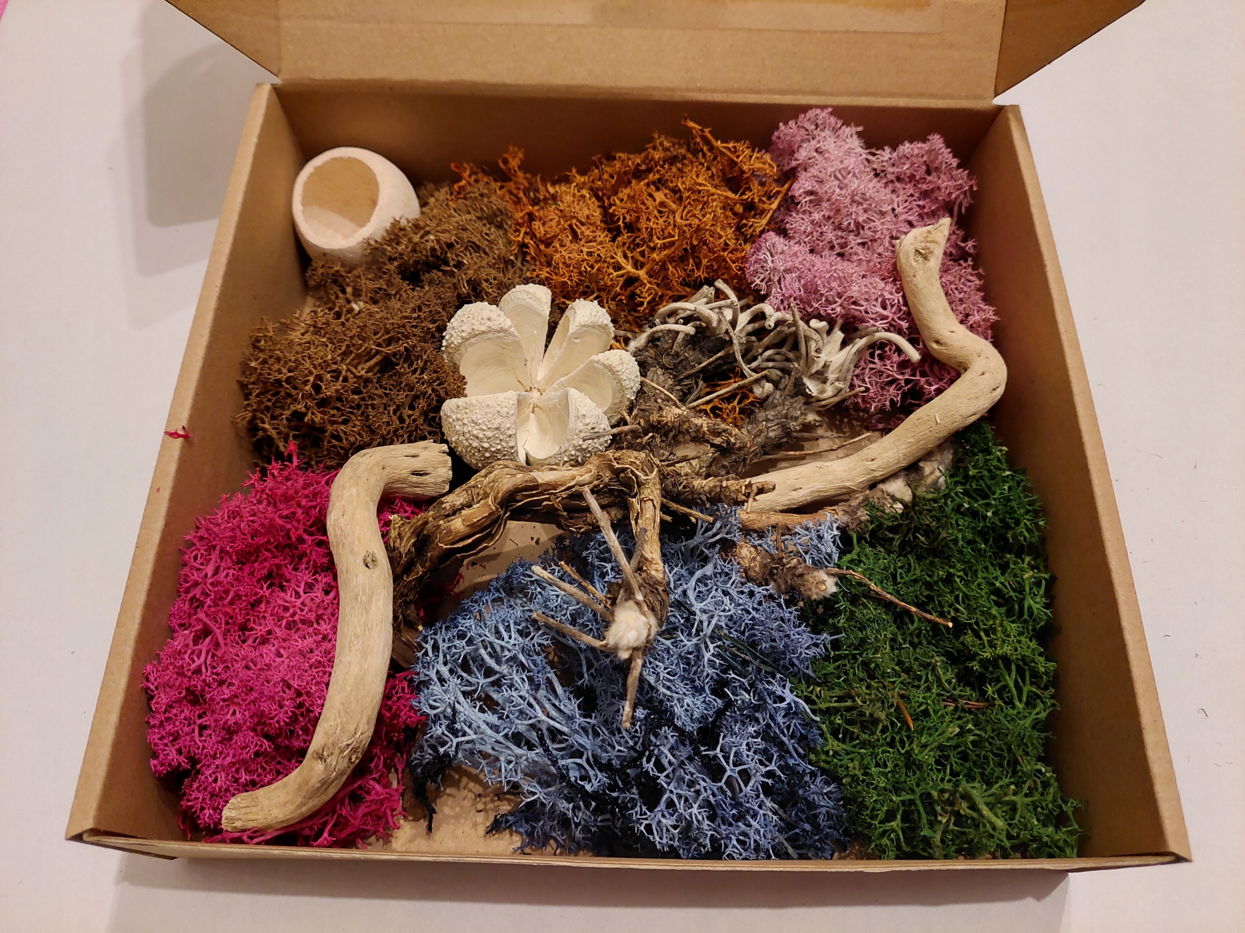 

Zestaw dekoracji terra mix chrobotek 20x20x5 news