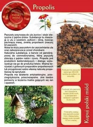 Broszura informacyjna - PROPOLIS ul pasieka