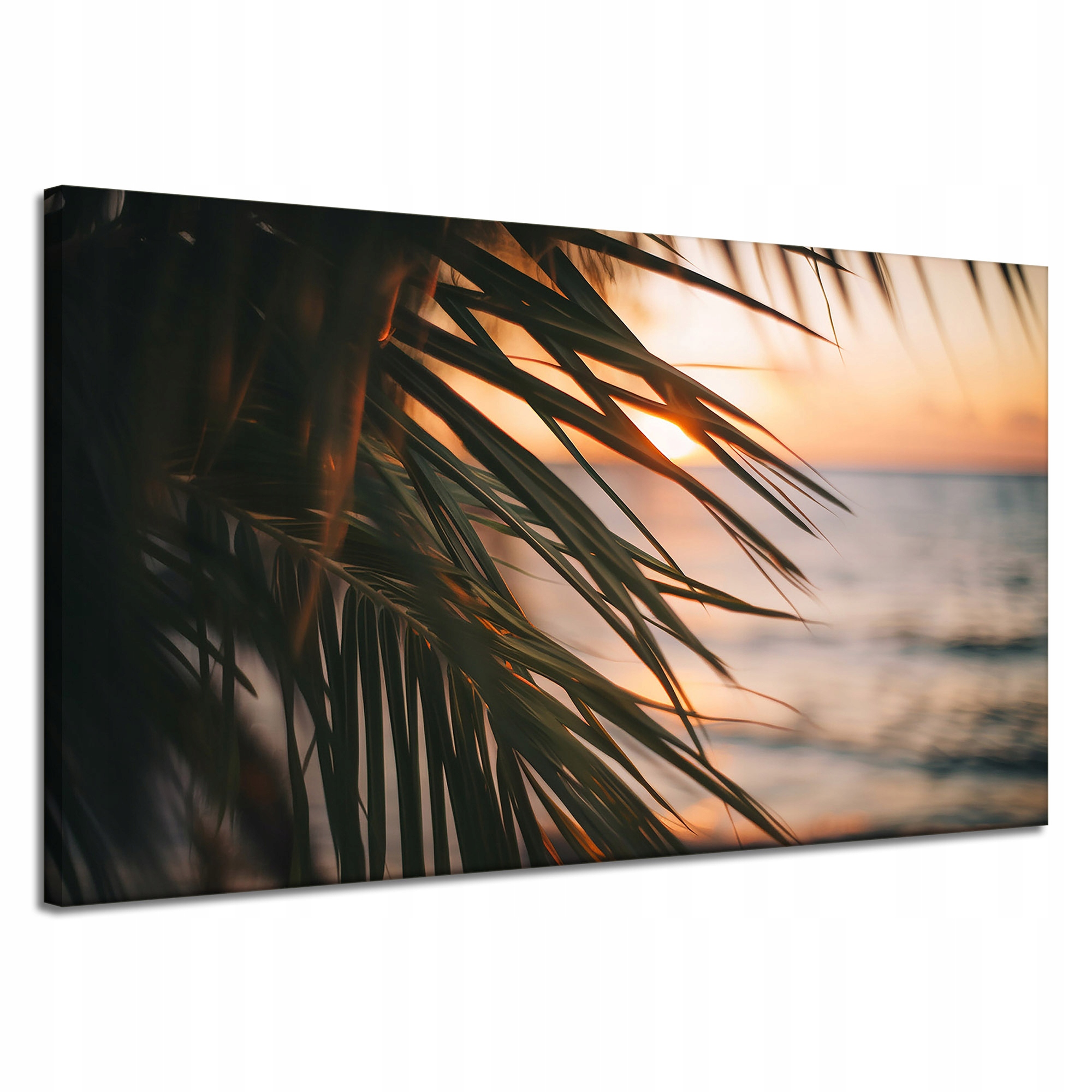 Obraz na plátně Příroda Pláž Palma Moře Západ Slunce 120x70