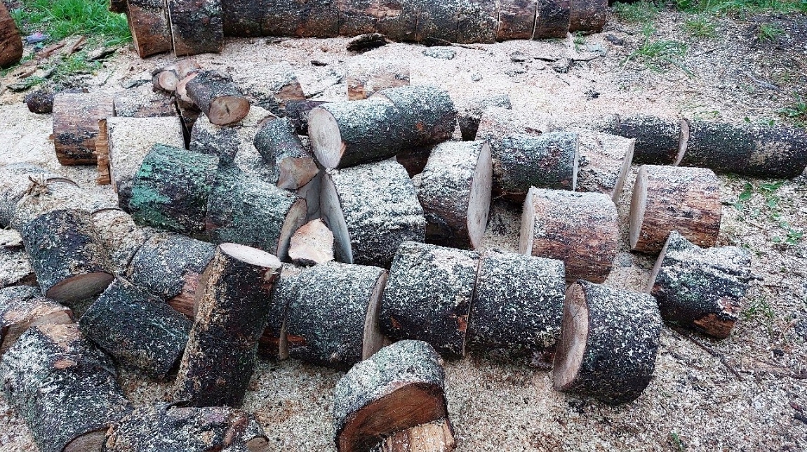 PIŁA SPALINOWA PILARKA ŁAŃCUCHOWA 5,7km 58cm3 2x łańc/prowad/Olej Mocna XXL Marka Majster Polska