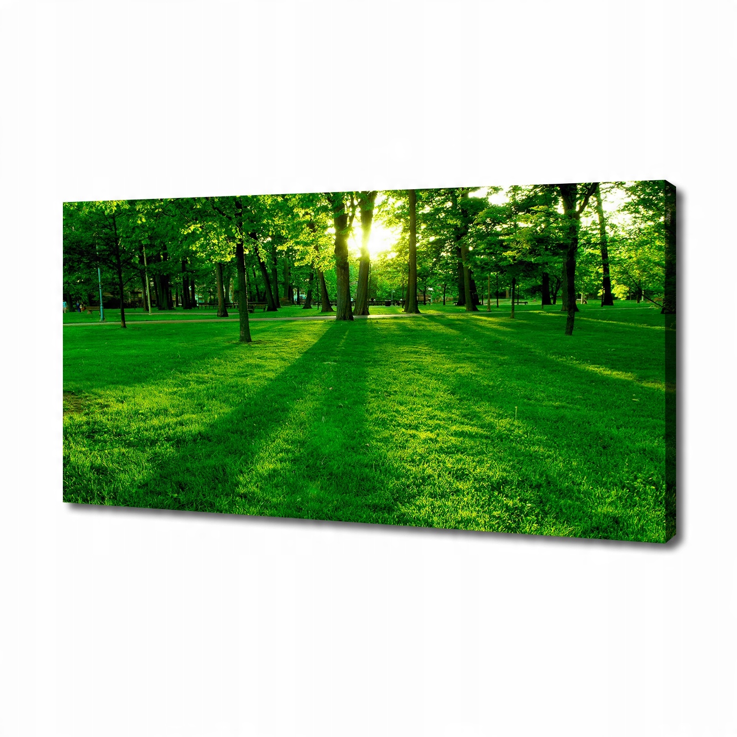 

Foto obraz na płótnie Trawa w parku 140x70 cm