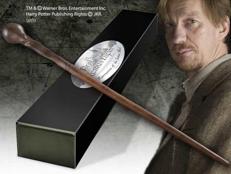 Harry Potter Stěna Profesor Remus Lupin