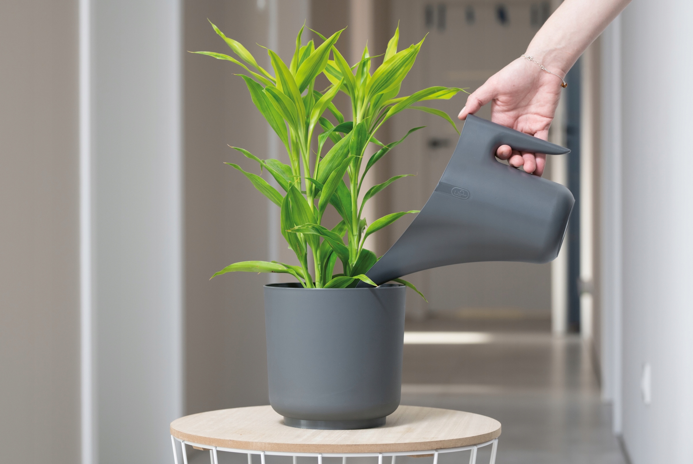 Doniczka osłonka Satina 25 h25 - Antracyt Marka Form-Plastic