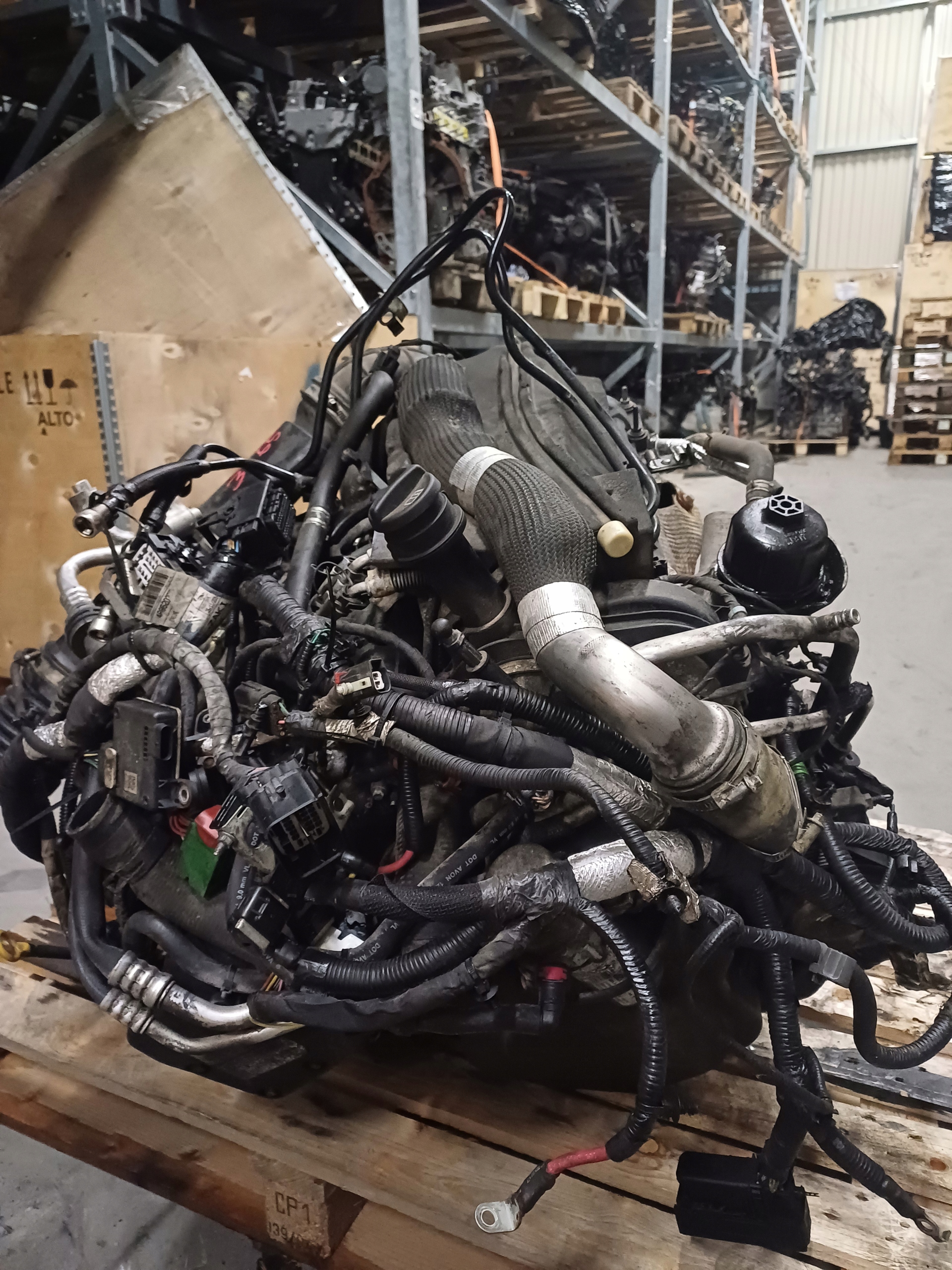 SILNIK DODGE RAM 1500 ECODIESEL 3.0 KOMPLETNY Typ silnika Diesel