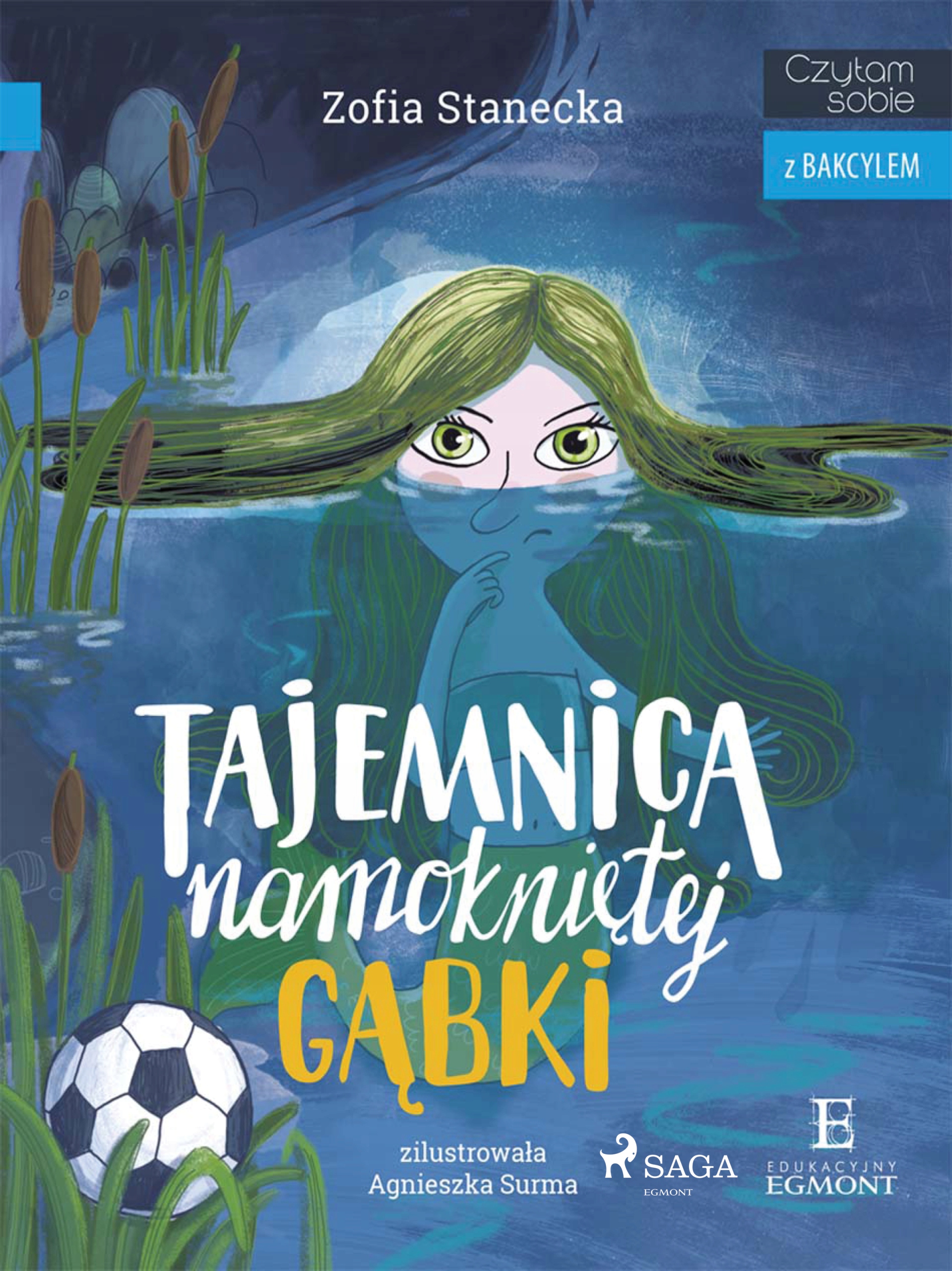 Tajemnica namokniętej gąbki - e-book