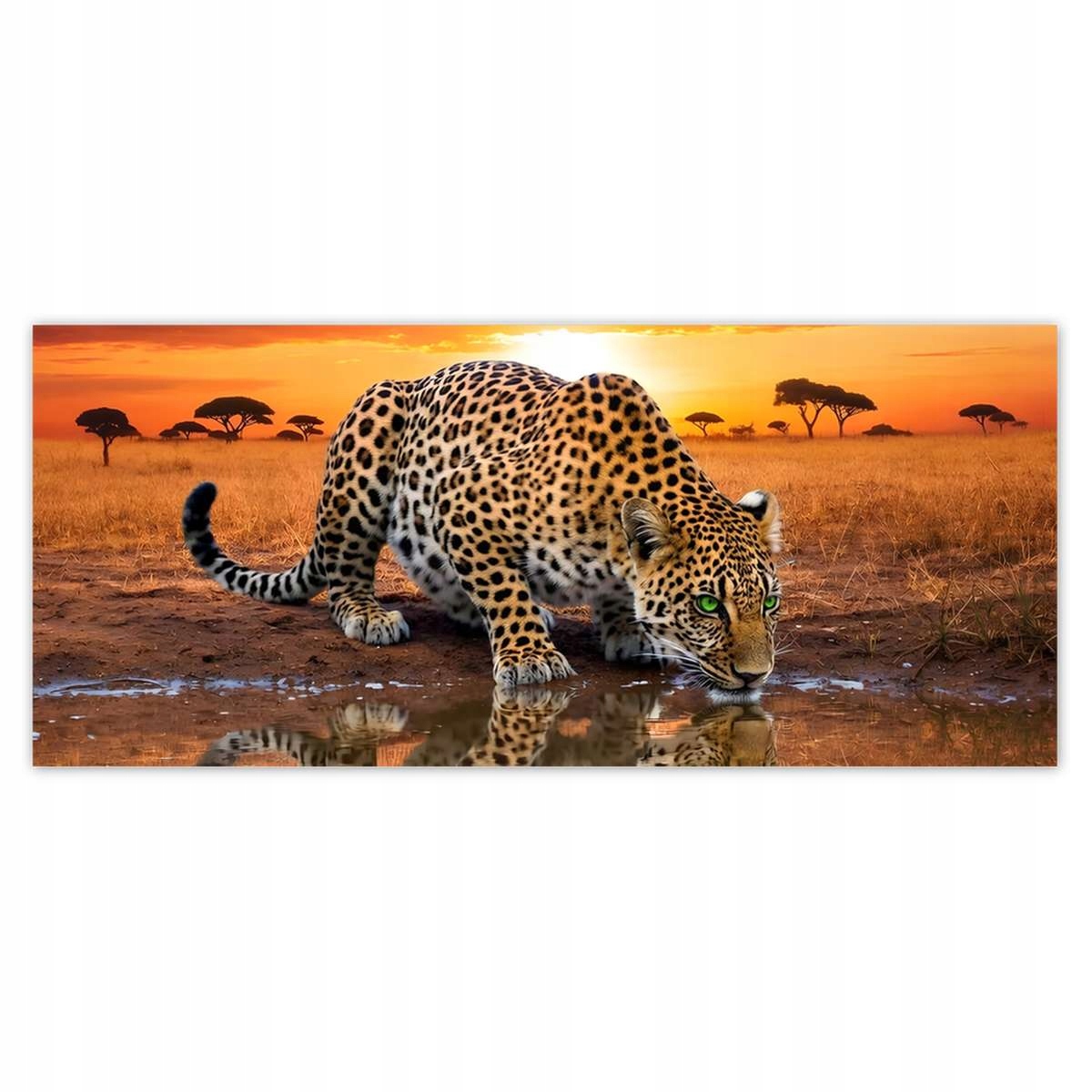 Fototapety 211x91 Na Zeď Gepard Tygr Jaguar