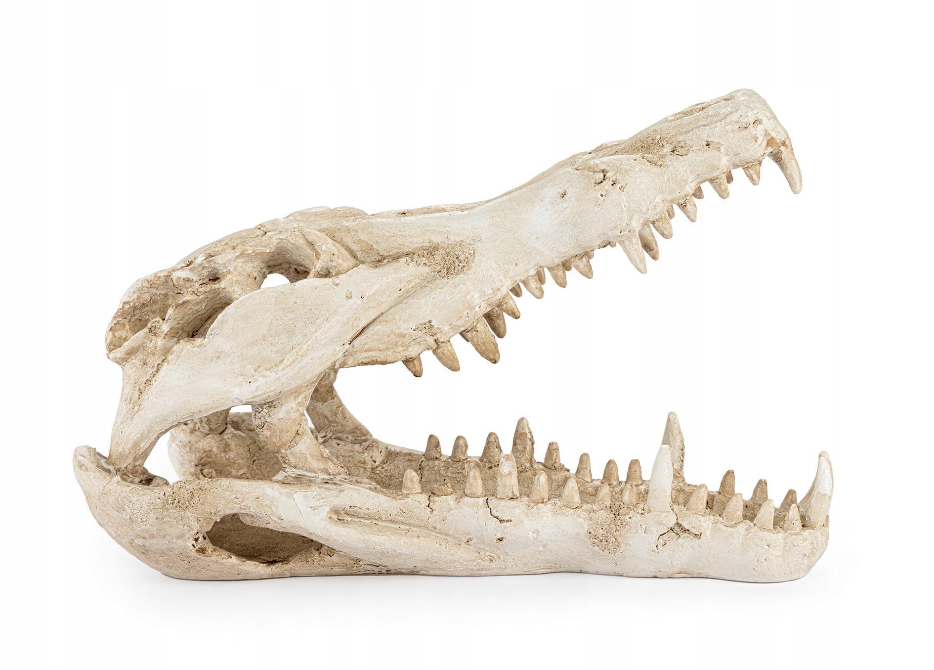 Lebka krokodýla ozdoba terária dekorace akvária úkryt 25 cm Happet