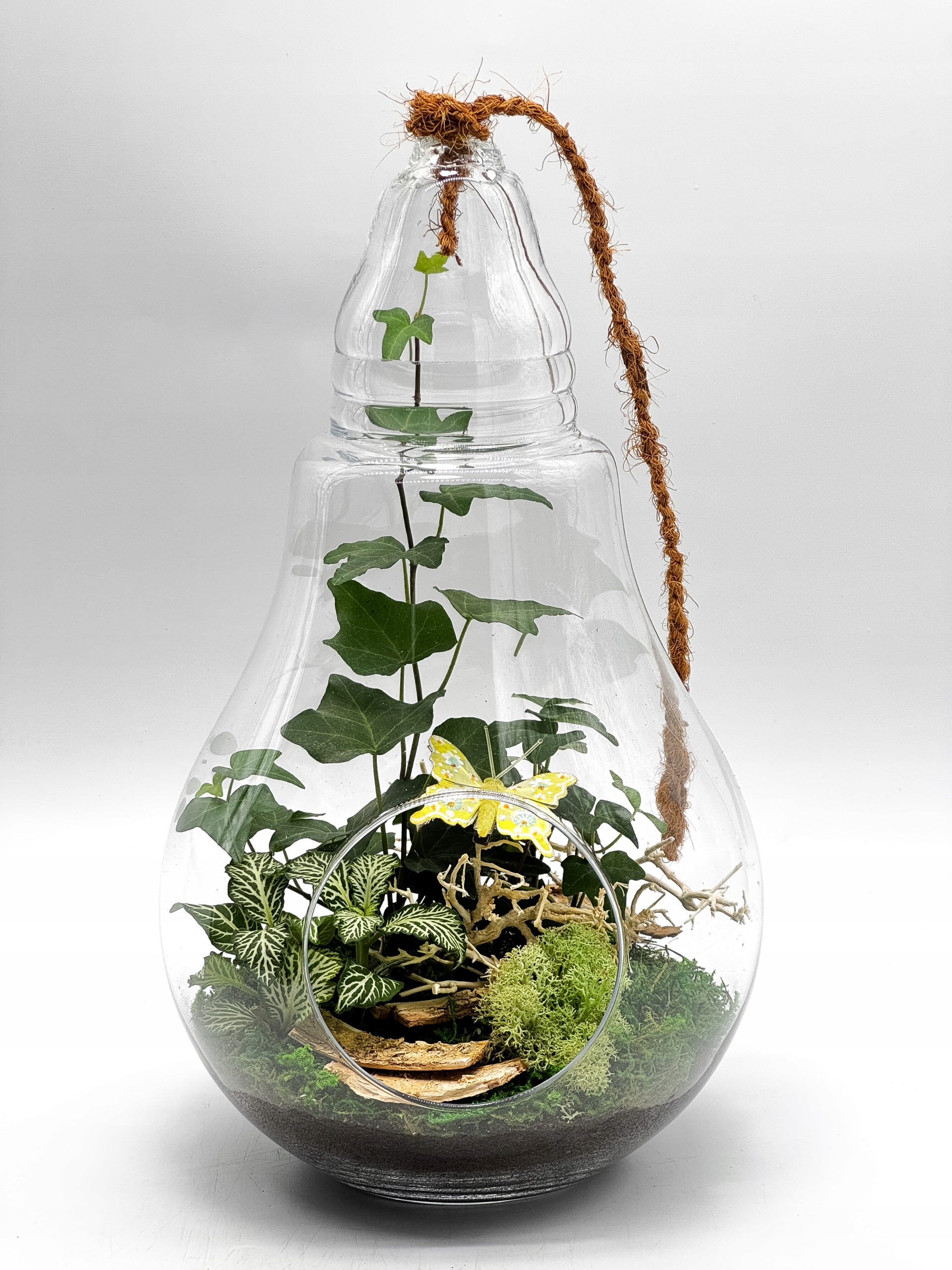 Les ve skle – Střední žárovka – Hotová kompozice – Hotový dárek