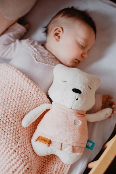 Szumisie Szumiś Szumiący Miś na Sen Suzy + Gryzak Płeć dziewczynki