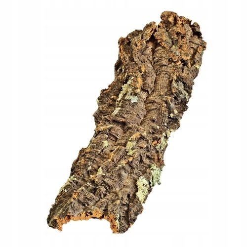 

Płaty, ścinki dębu korkowego kryjówka ok. 0,25 kg