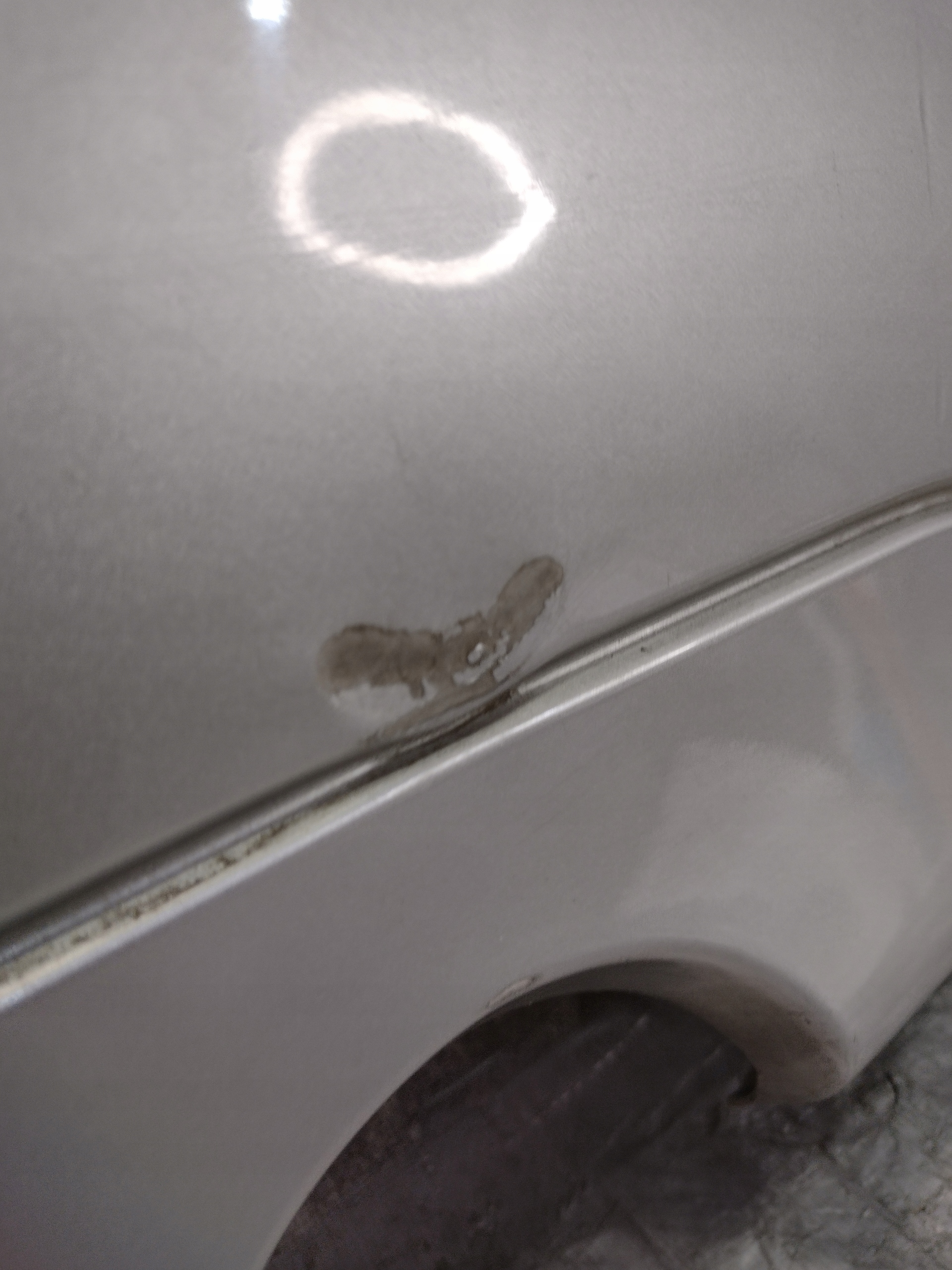 Paraurti posteriore Citroen C3 e PDC