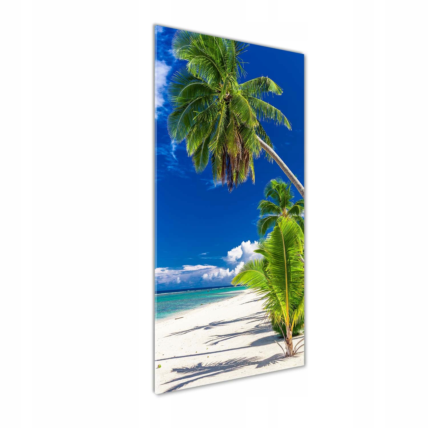 

Foto obraz szkło akrylowe Tropikalna plaża 50x125
