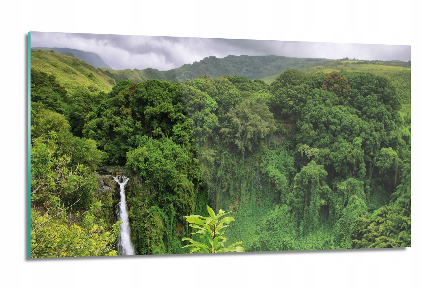 Sklenená doska Džungľa vodopád lacobel 120x60