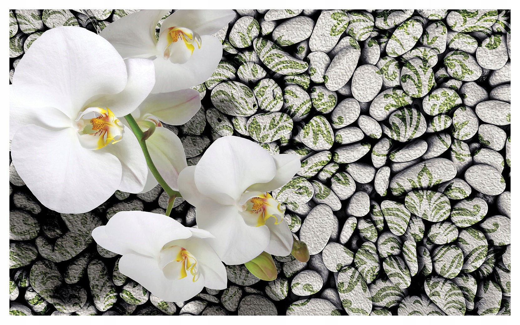 Fototapeta Bílé orchideje a kameny – Harmonie a klid 254x184 lepidlo