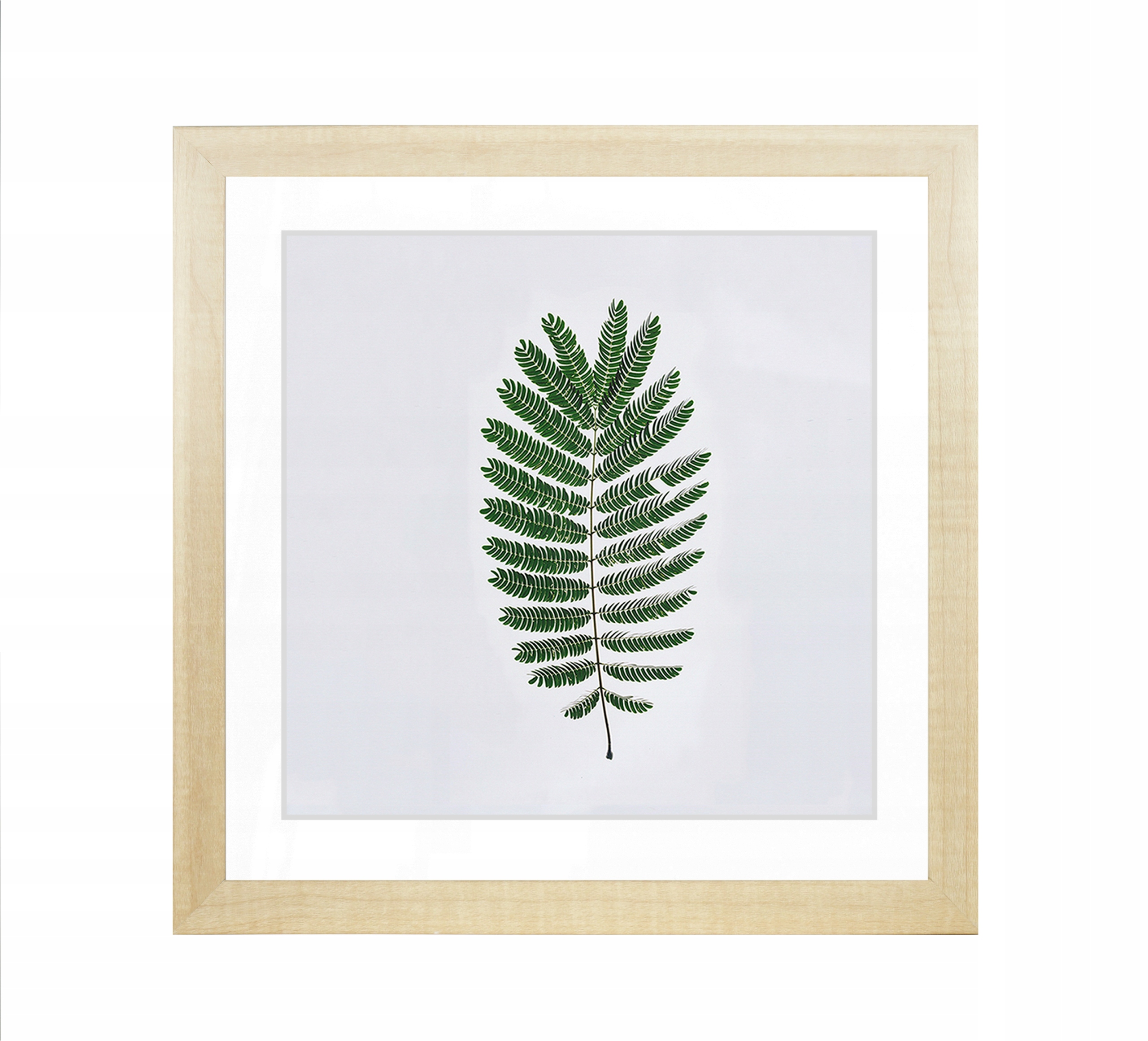 

Ramka Na Zdjęcia 40x40 Passe-partout Ramki Brzoza