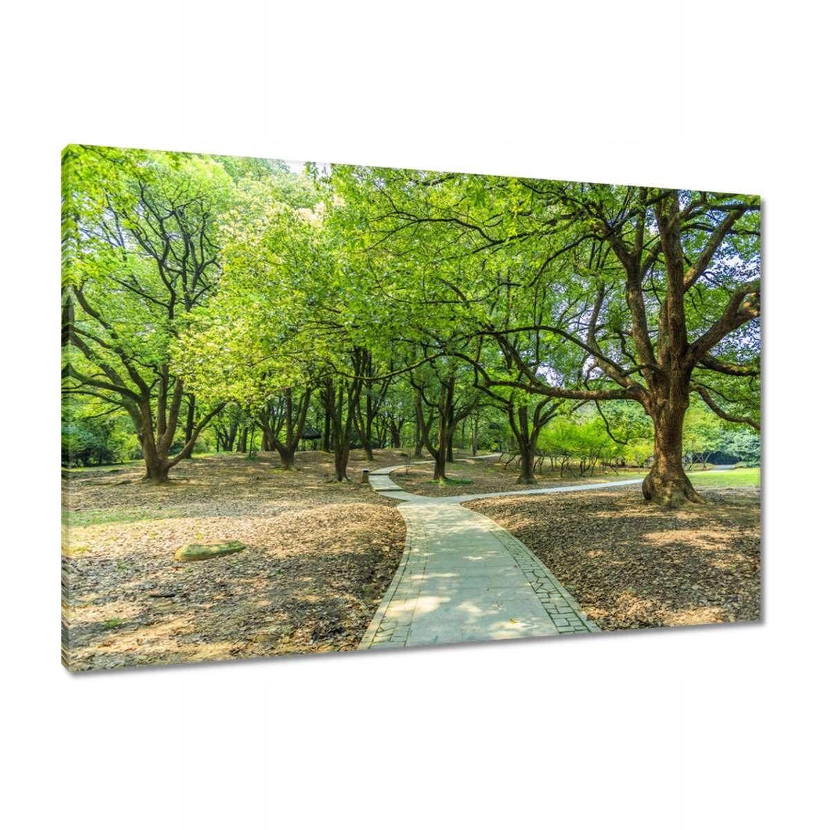 Obrazy 90x60 Zelený park s cestičkou