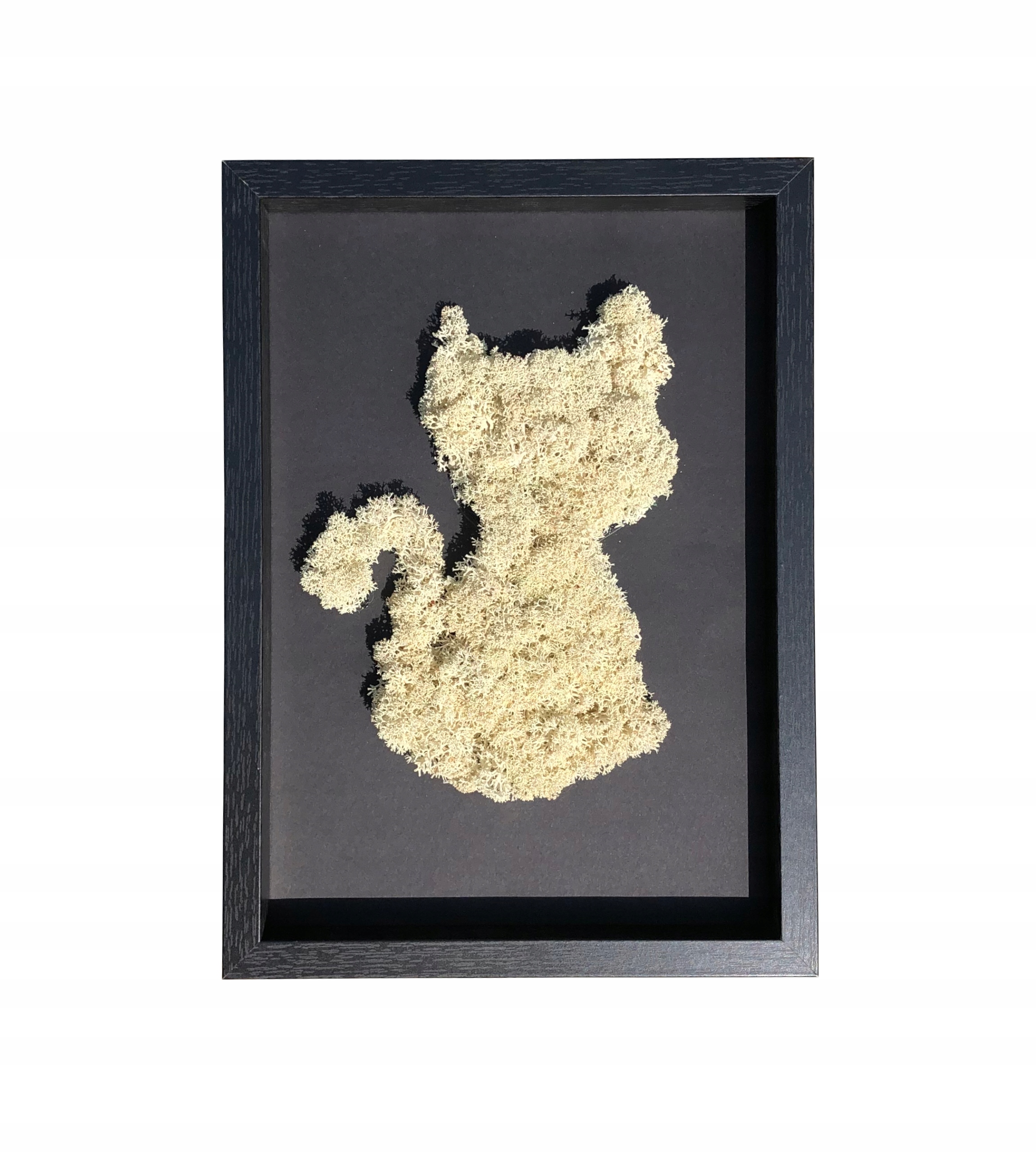 OBRAZ MECH CHROBOTEK KOT ZWIERZĘ OBRAZEK PREZENT