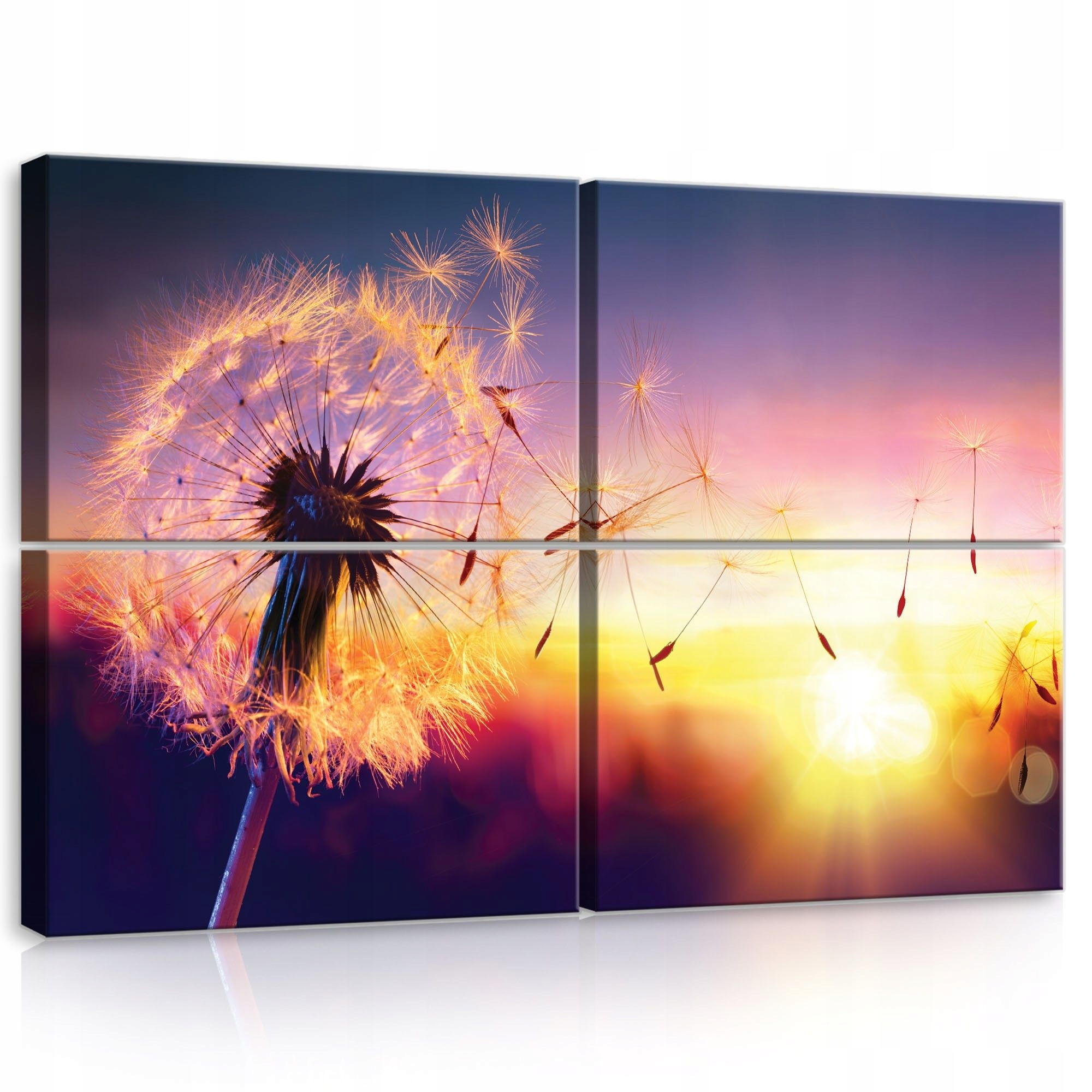 Obraz 120x80 Pampeliška lékařská západ slunce příroda světlo sen klid