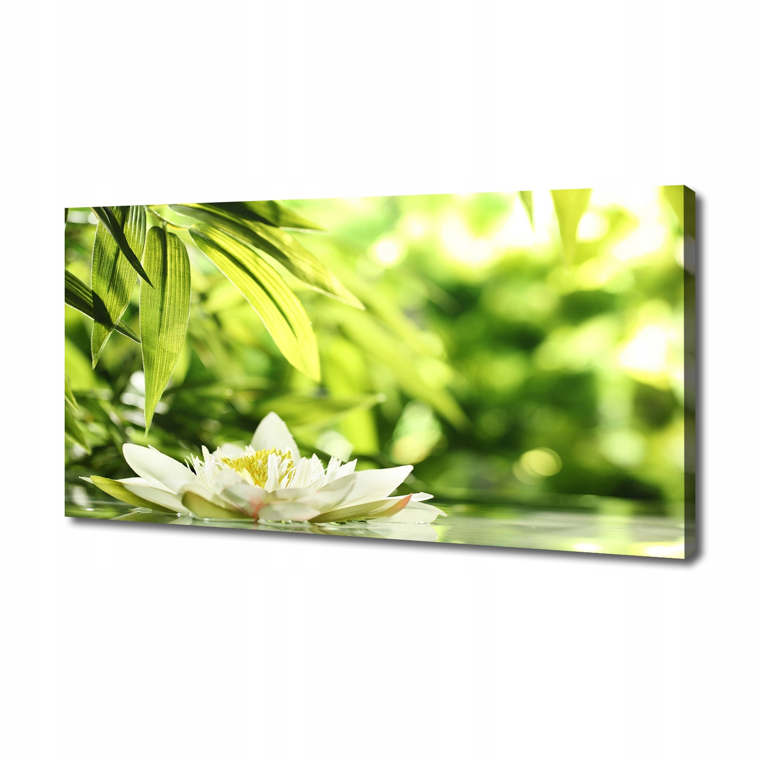 

Foto obraz canvas na ścianę Lilia wodna 140x70 cm