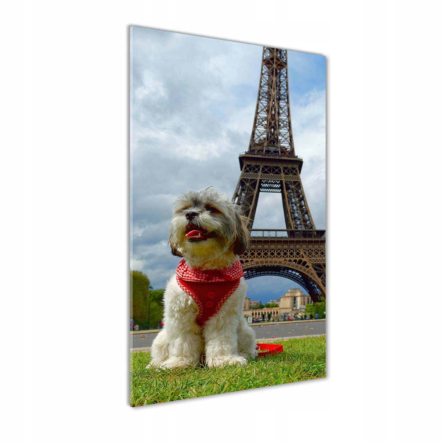 

Foto obraz akrylowy do salonu Pies w Paryżu 50x100