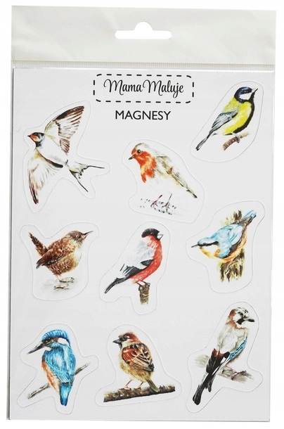 

Magnesy Ptaki Żyjące W Polsce 9 Sztuk Mama Maluje